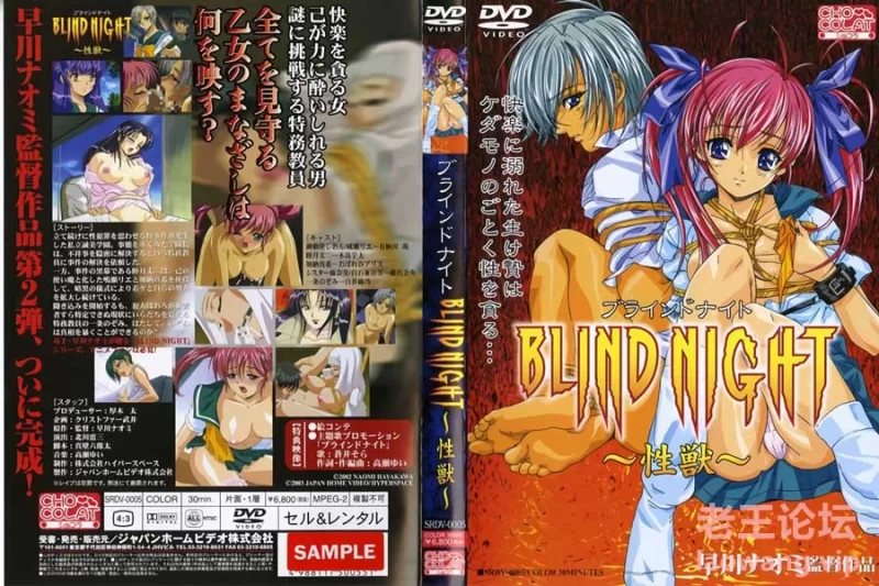 (18禁アニメ)-[JHV]-BLIND-NIGHT-ブラインドナイト02～性獣～-(DVD-960x720-x264-AAC).jpg