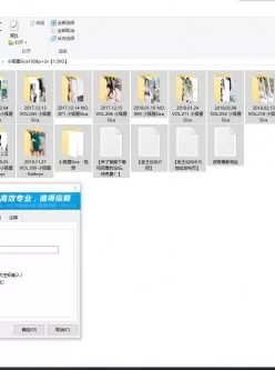 小狐狸Sica1028p+2v【1.56G】